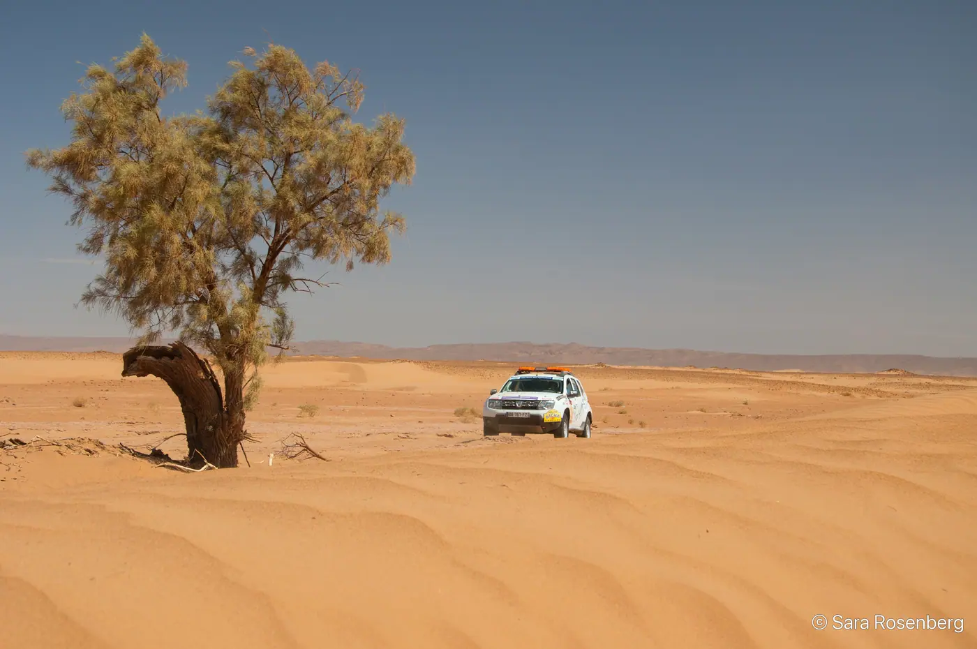Rallye des Gazelles 2014