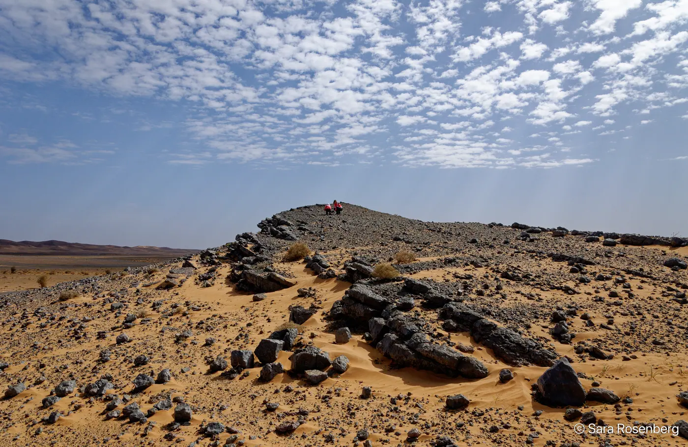 Rallye des Gazelles 2014