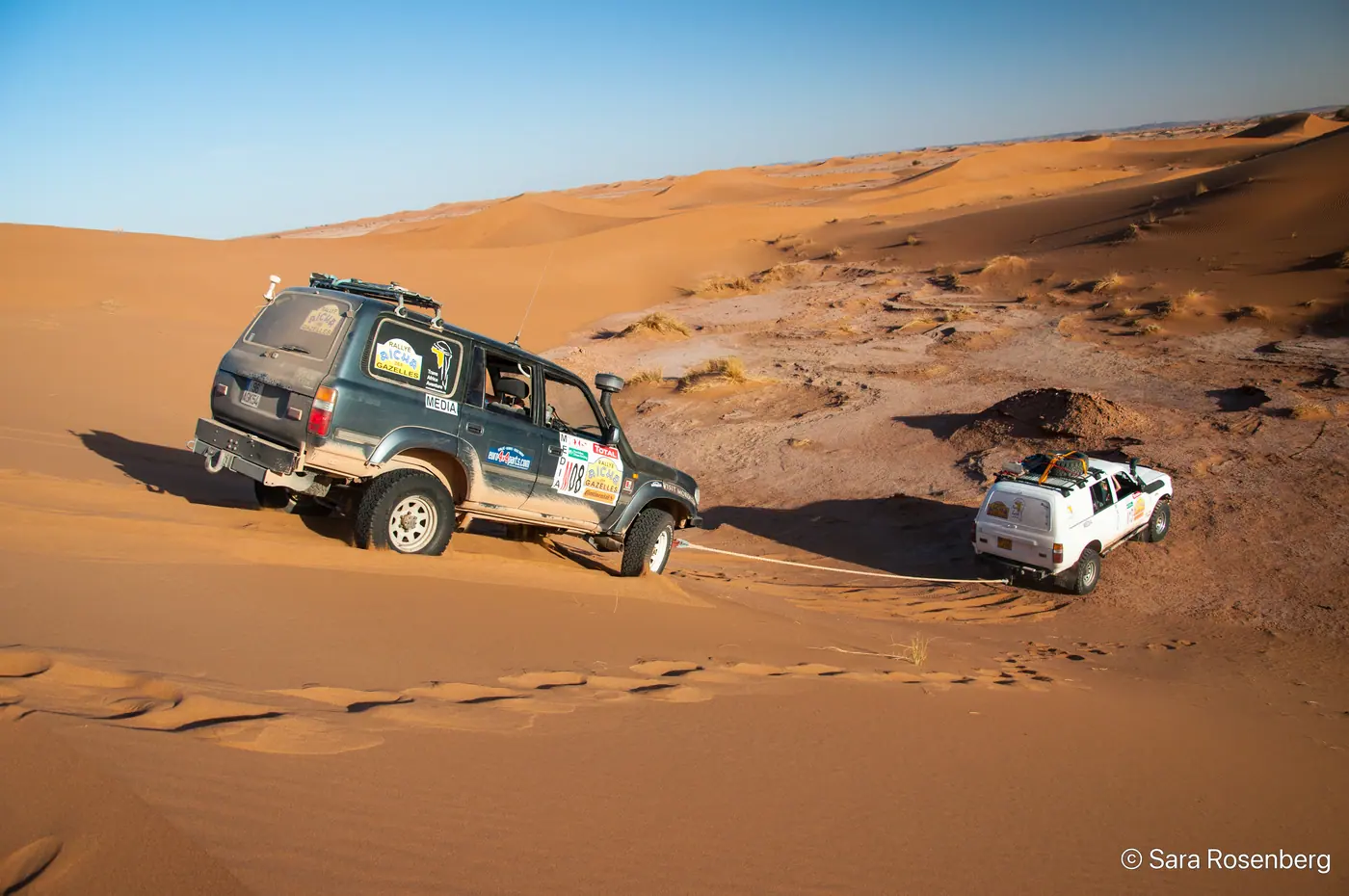 Rallye des Gazelles 2014