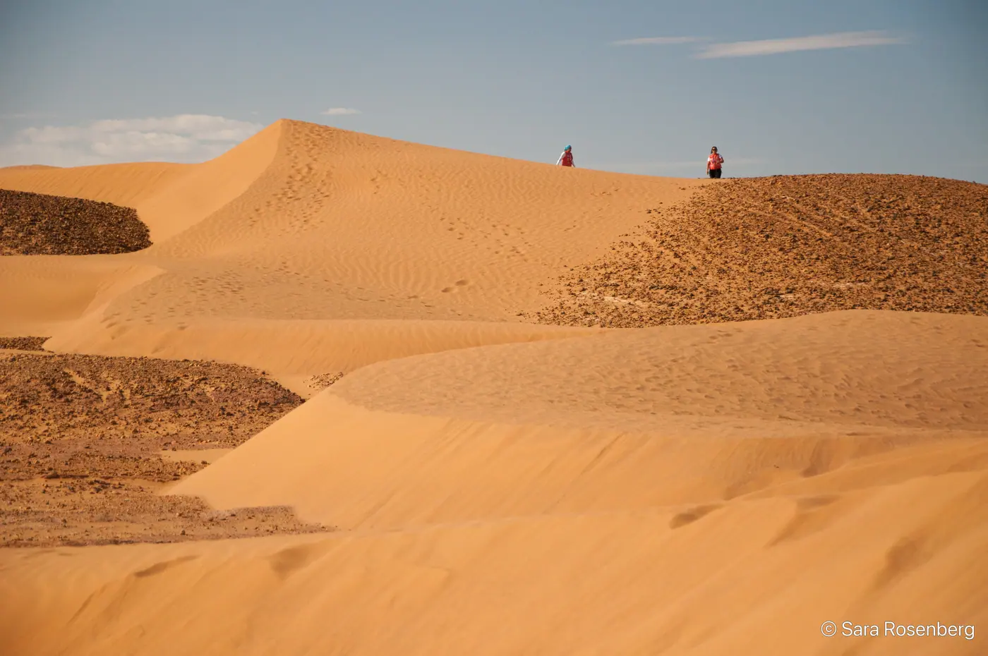 Rallye des Gazelles 2014