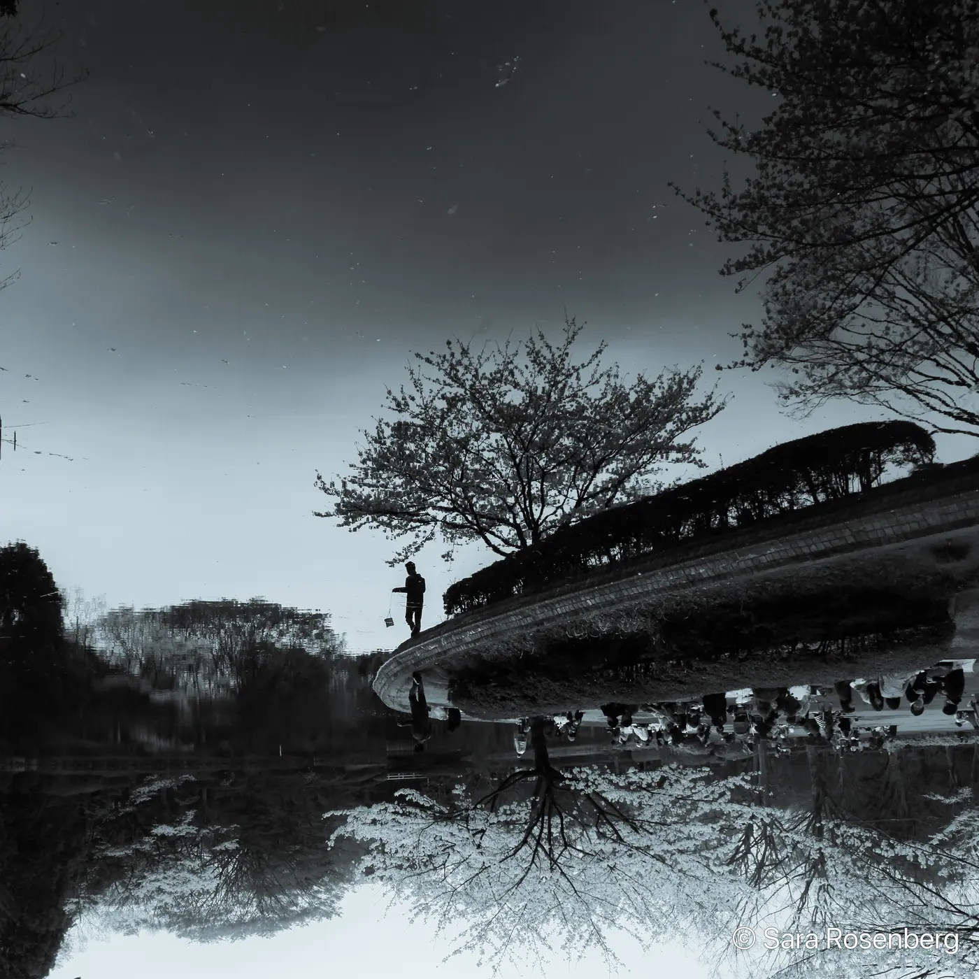 Reflets