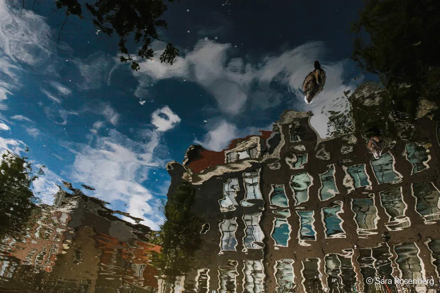 Reflets
