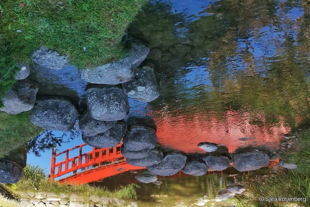 Reflets