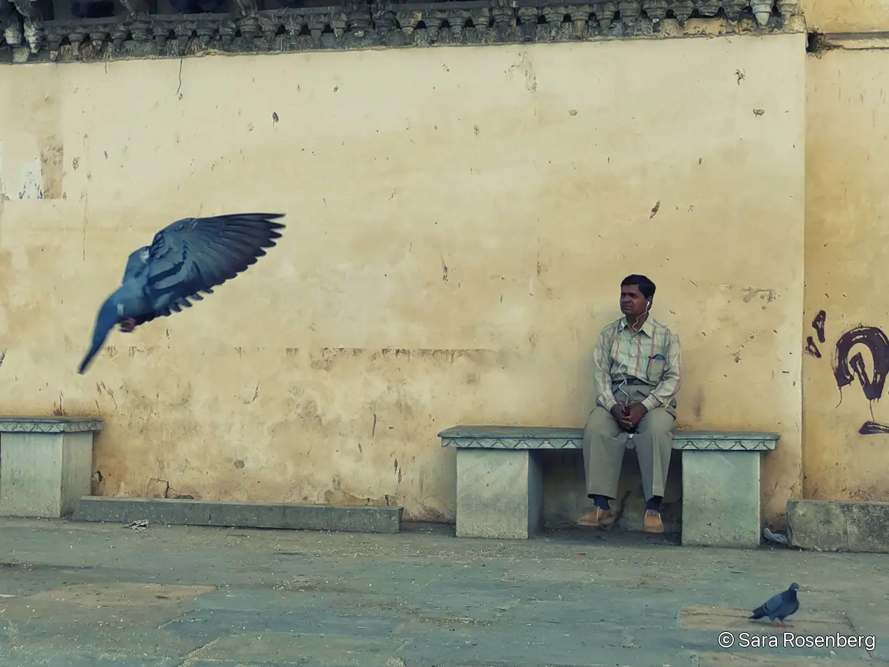 Udaipur, Rajasthan, Inde